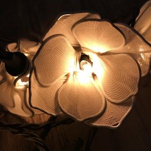 Beautiful little flowers.